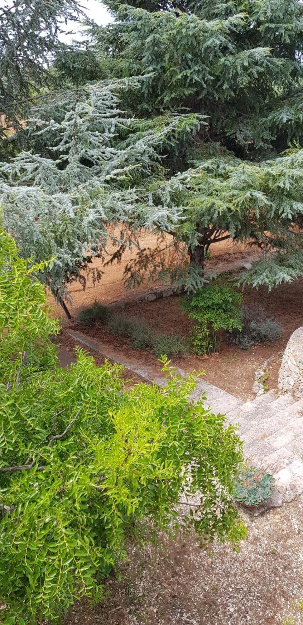 אוסטוני Villa Isabella מראה חיצוני תמונה